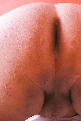 Orsetto Docile Orsetto Docile